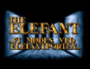 elefant