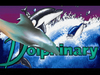 dolphinary