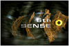 The 6th Sense