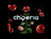 Chiperia #7